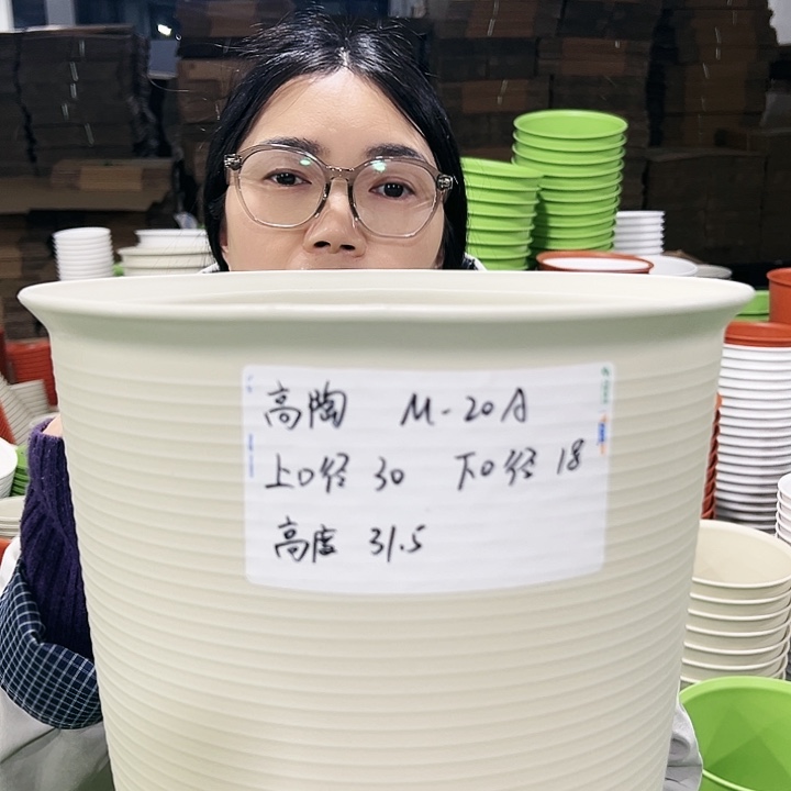 正品高陶口30高31白色无托3只