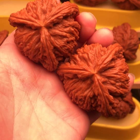 ****远核桃核桃荷兰核桃核桃