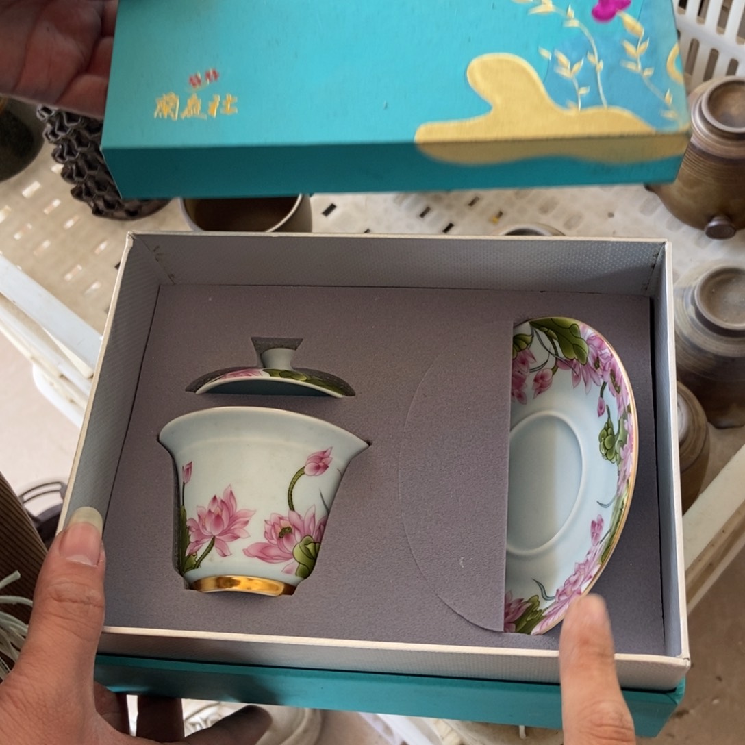 杯直播链接直播链接