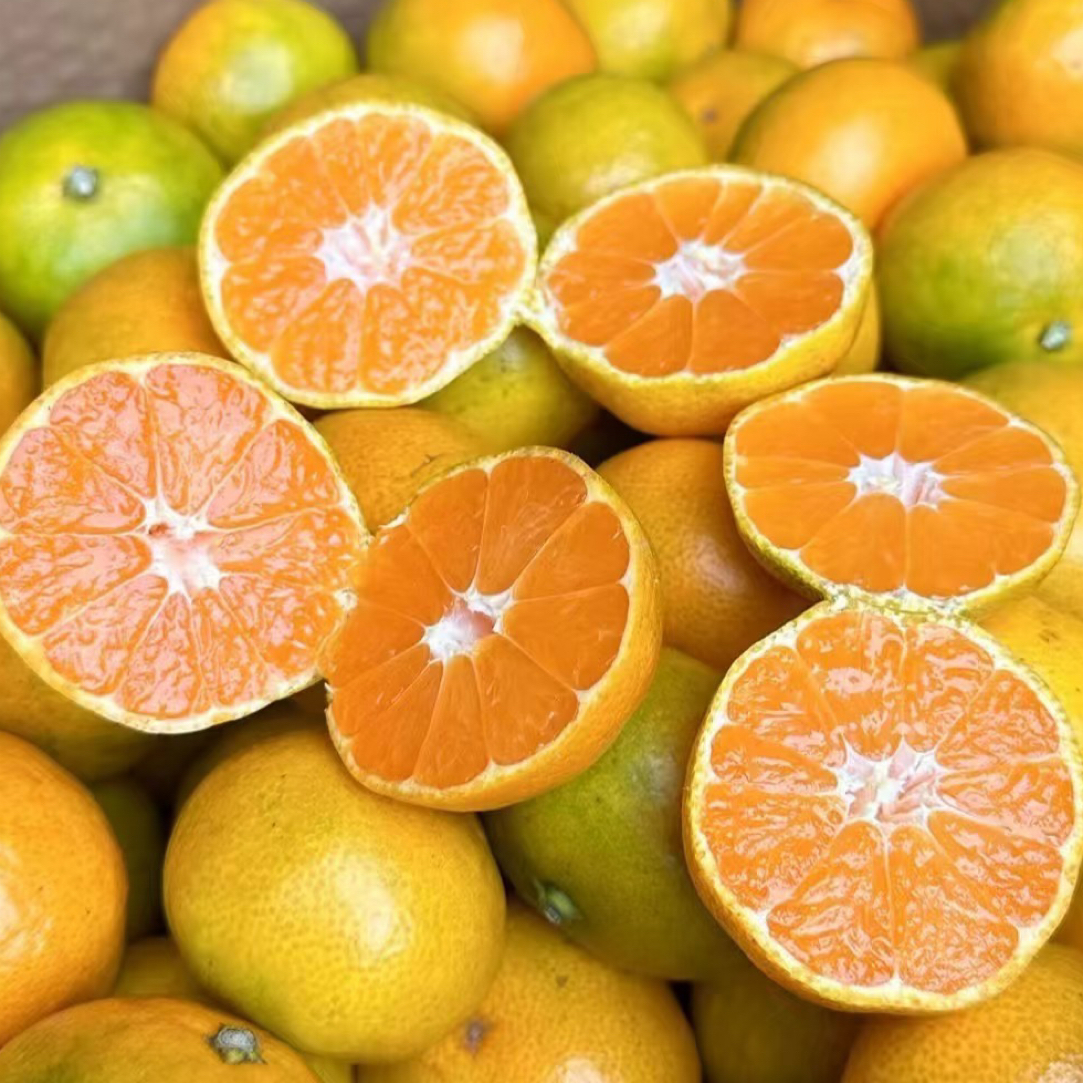 云南蜜橘整果500g