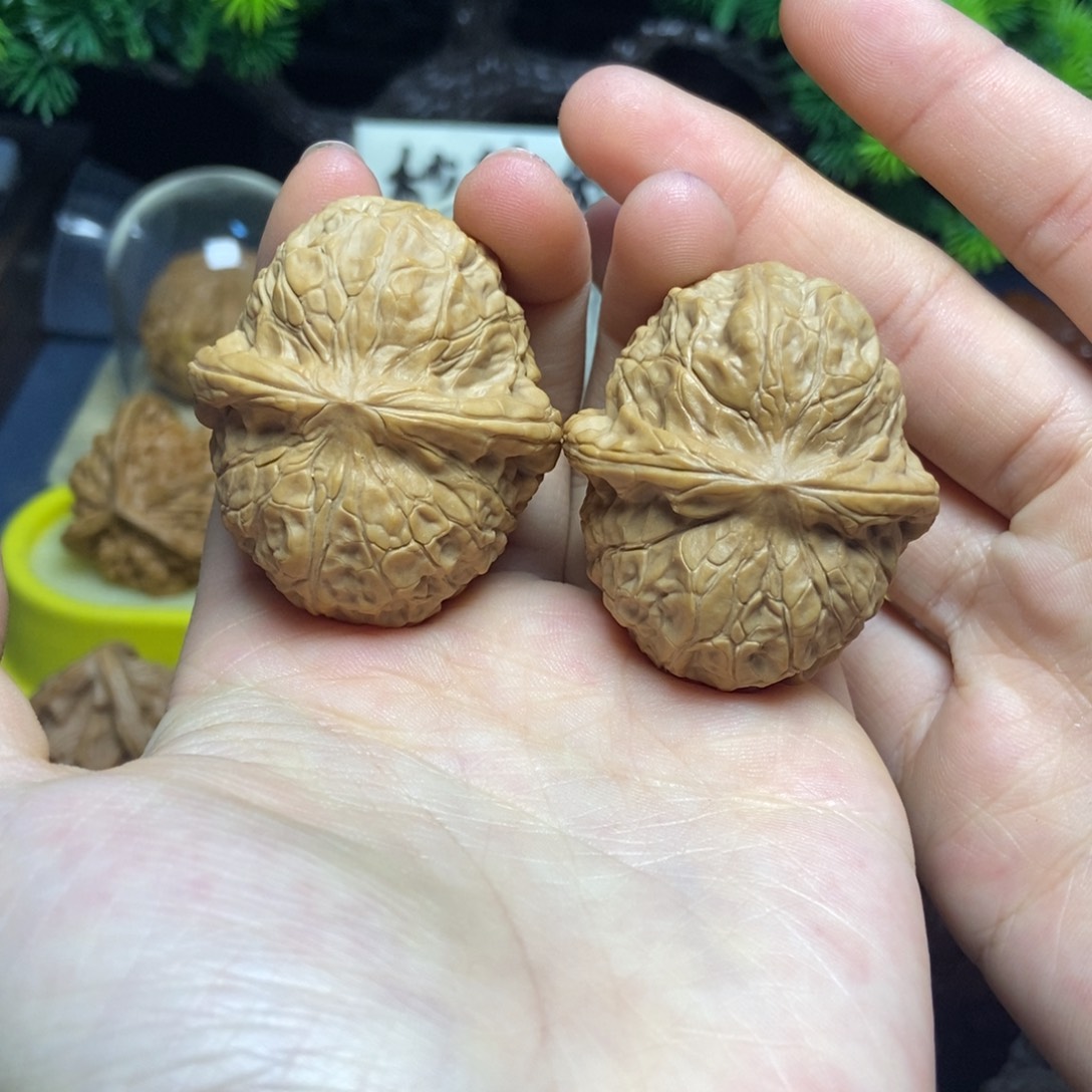 核桃全品南瓜矮壮37尺2