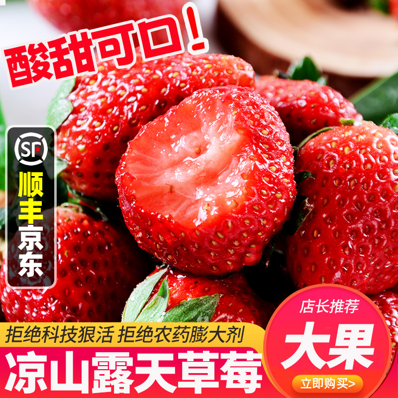 【送1盒】CC高山露天种植红颜奶油草莓新鲜水果顺丰京东包邮2-4盒