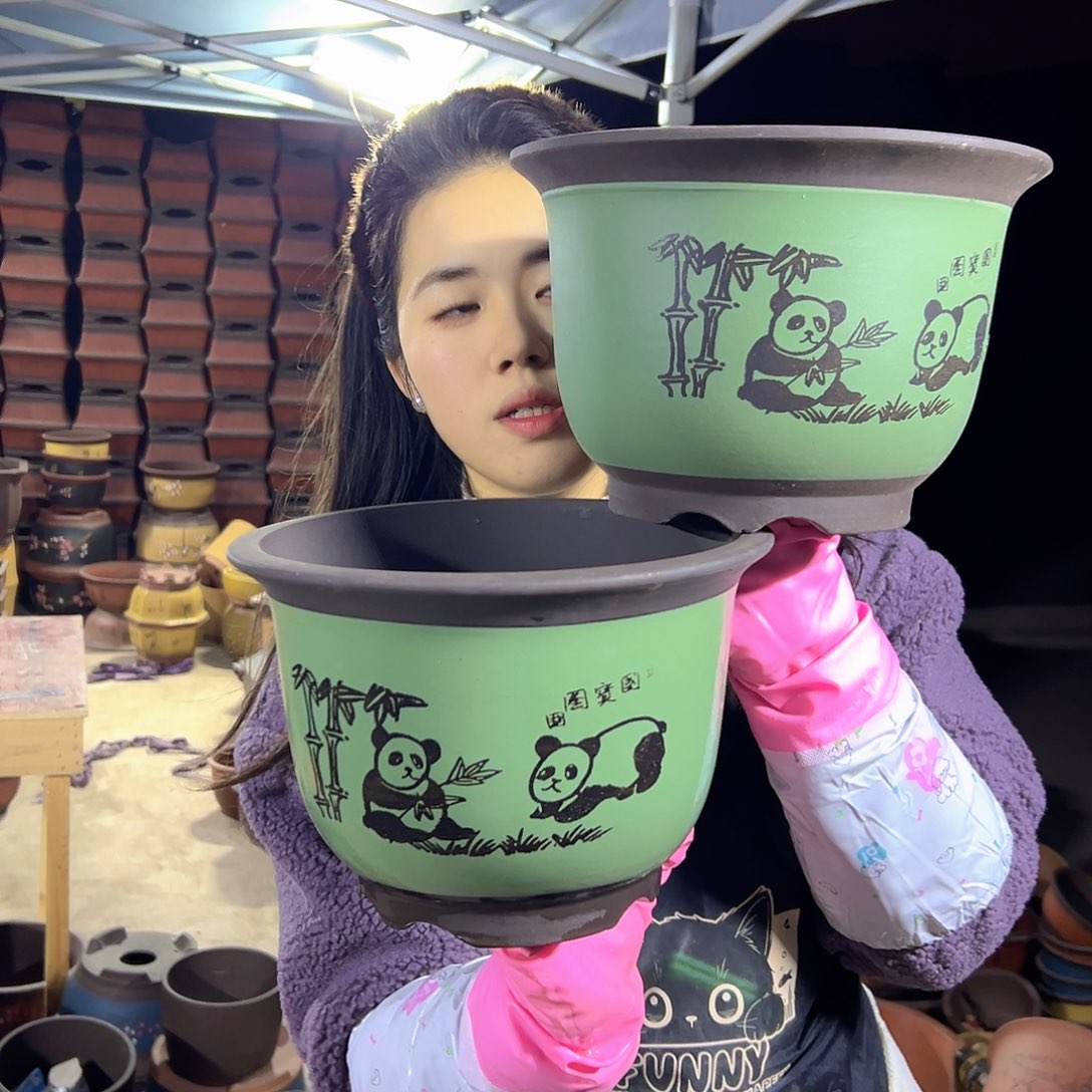 25+25绿色熊猫平角金钟花盆