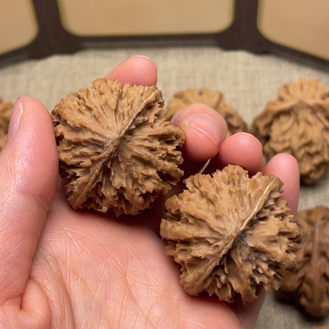 把件文玩核桃秦岭核桃7号