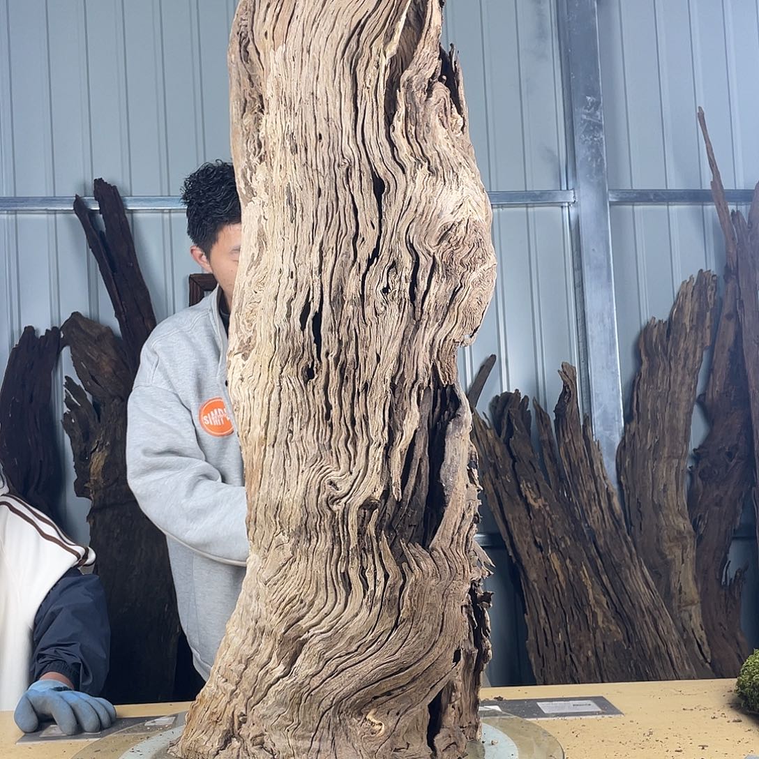 书架紫檀木类风化木