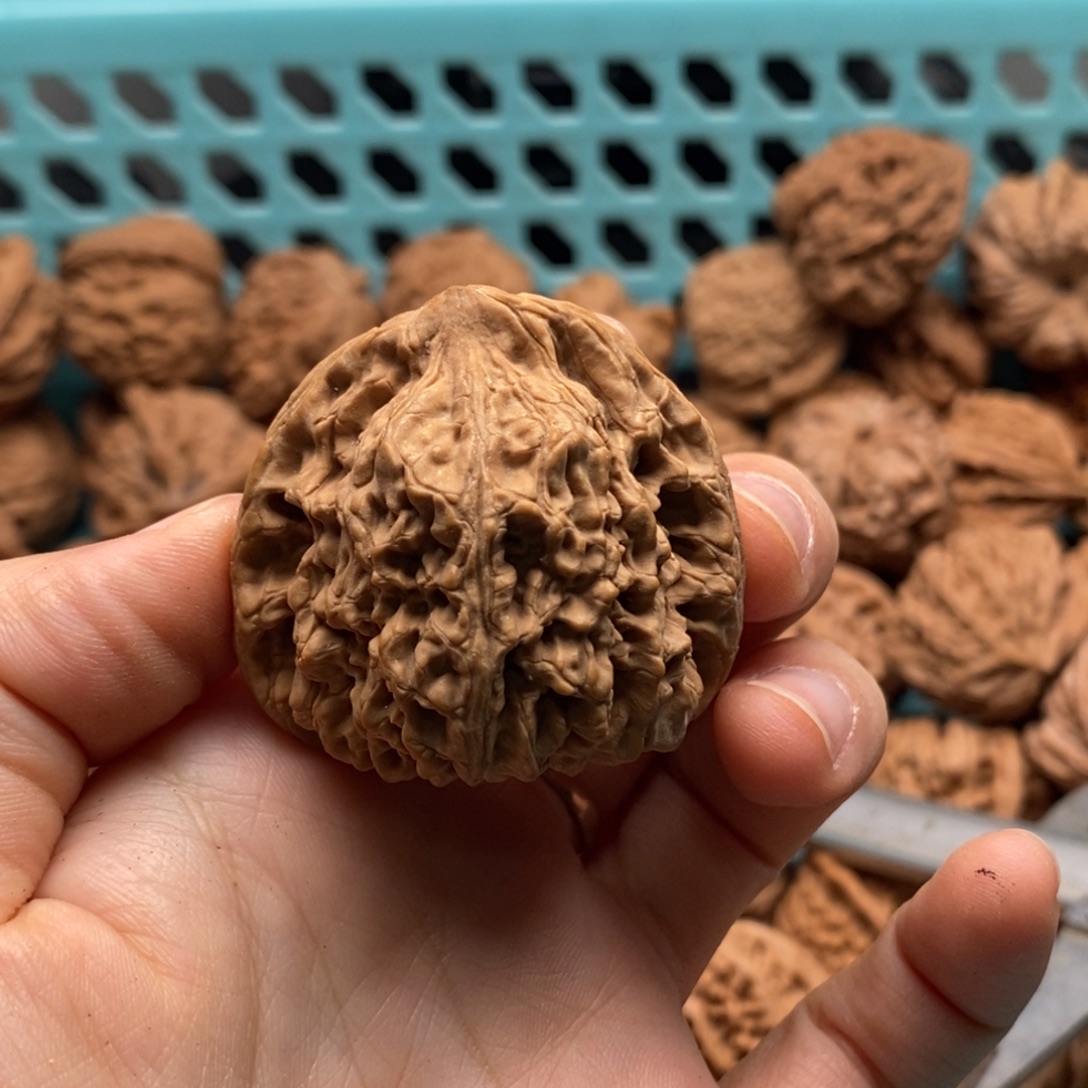 废***墟核桃定制商品不退不换