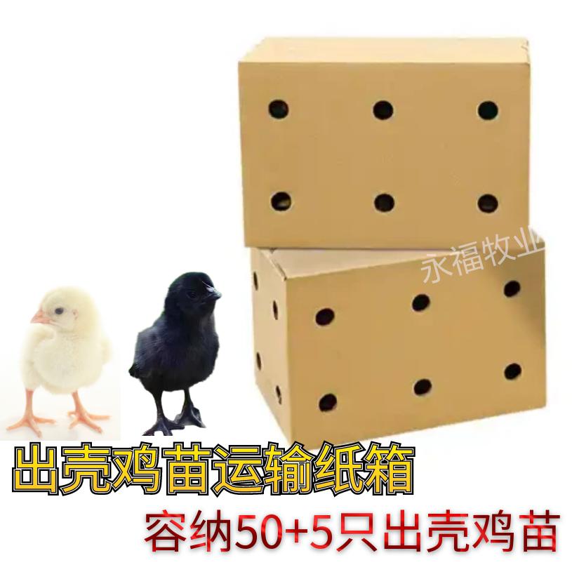 打孔纸箱鸡苗离苗运输专用透气纸箱透气不闷热