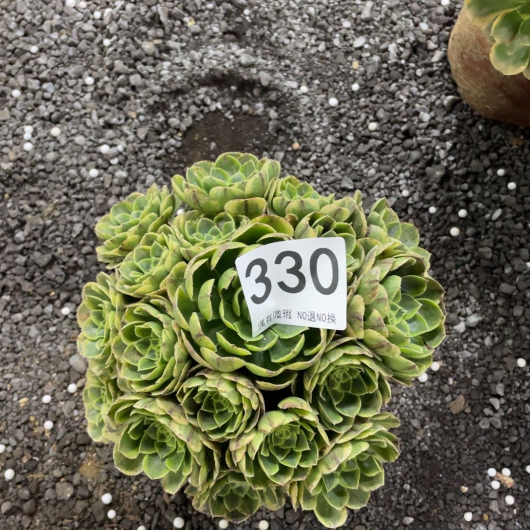 我是真的很喜欢这个