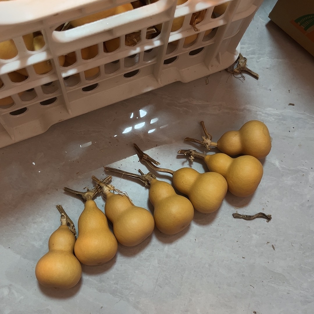 微***）胖墩微瑕通货链接