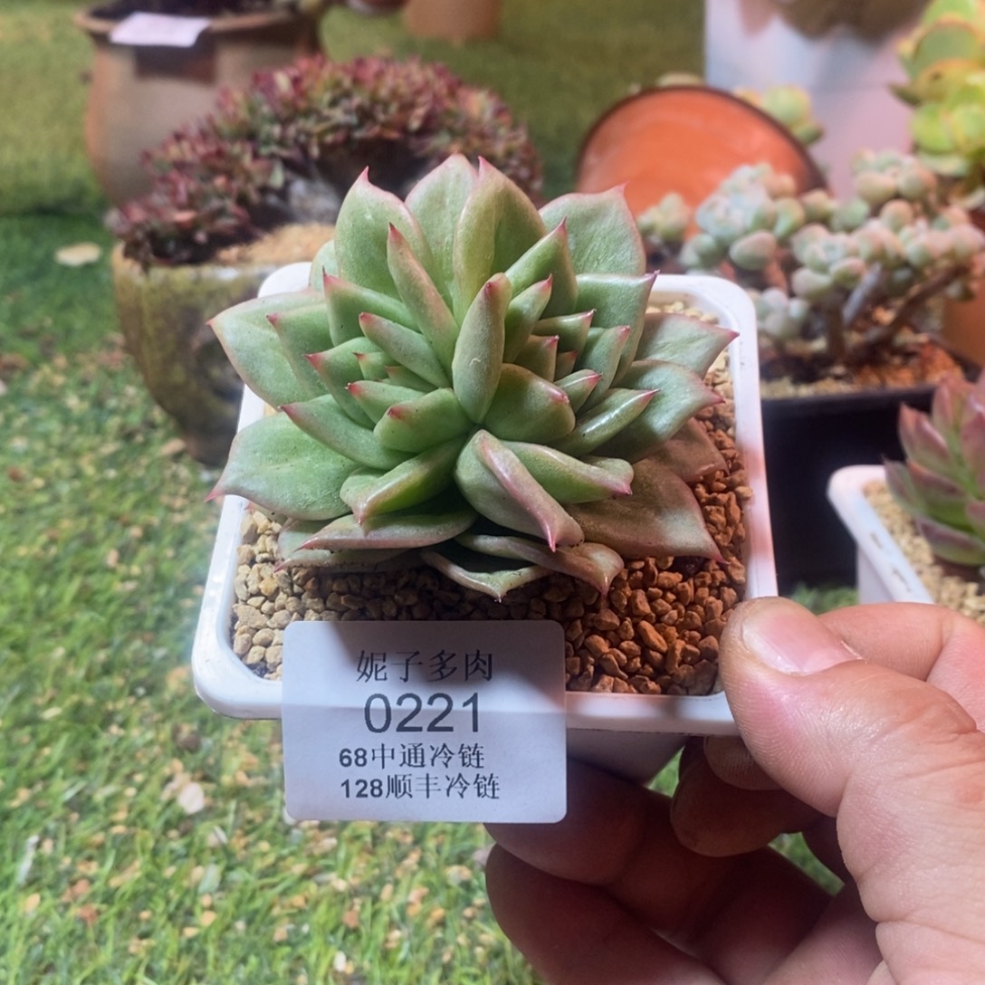 0221啊啊啊啊啊啊啊