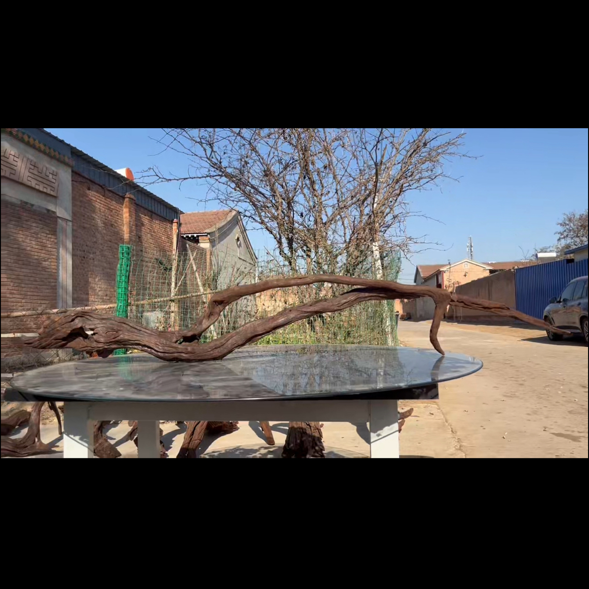 尺寸198×15×28 鱼缸造景沉木摆件，紫柚木，秒沉水，包煮，南美缸