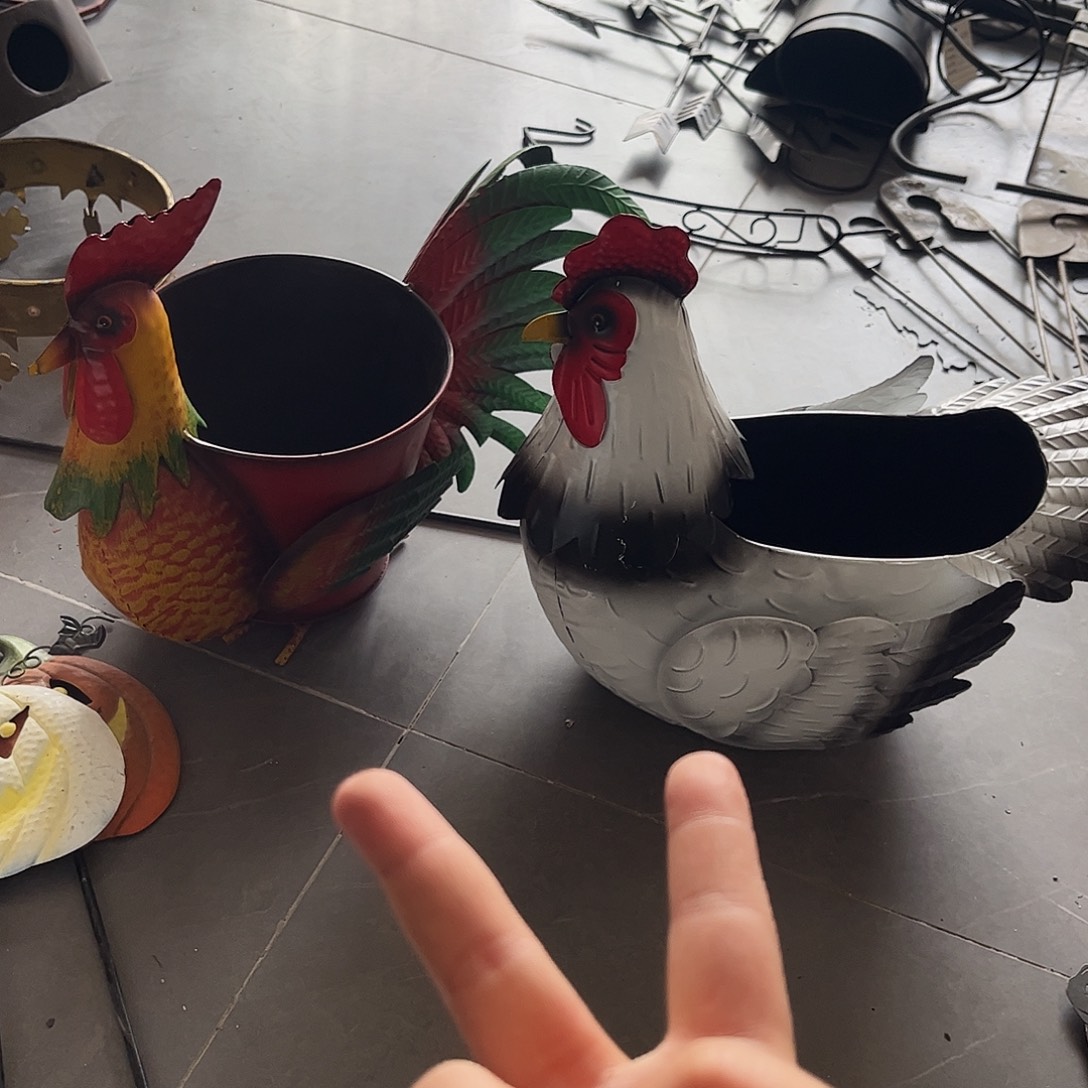 孤品炸炸炸炸炸炸