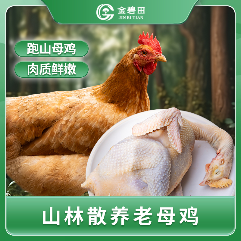 九华山正宗散养老母鸡1.5-2年 一只装
