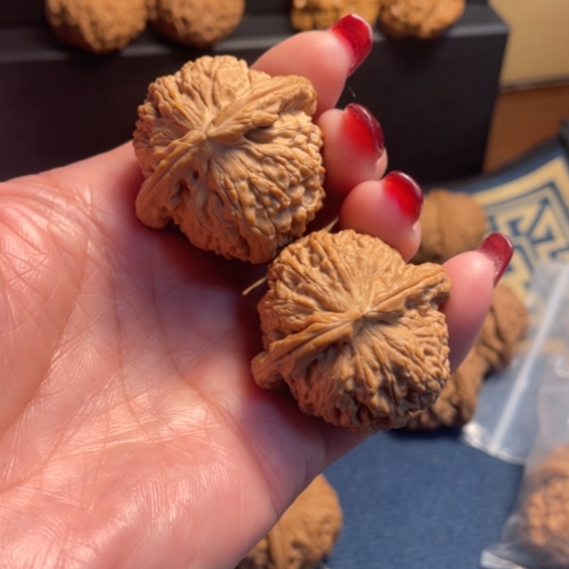 【闪购商品】核桃手串/手链泽**剧白狮子40