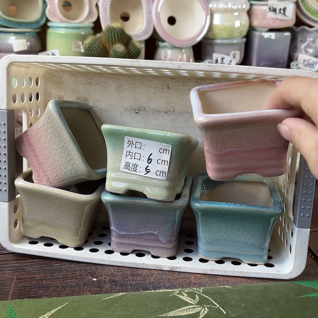 量货/6口高5深浅搭配发6