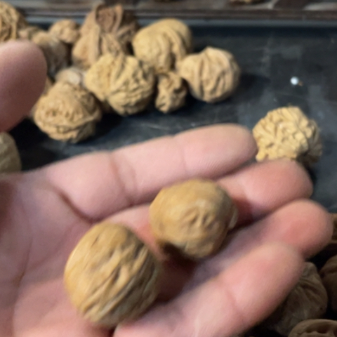般***蜜元宝小异形手把件