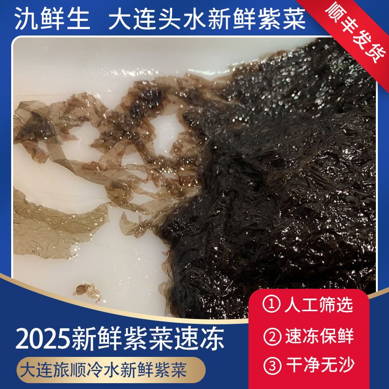 【紫菜】 大连当地紫菜新鲜无沙包饺子做汤速冻发