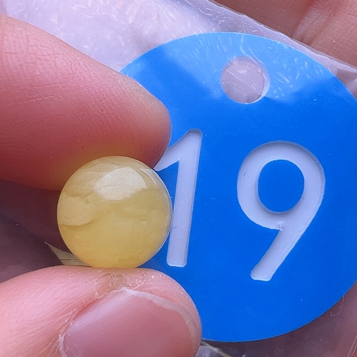 蜜蜡裸石未镶嵌10.5m m