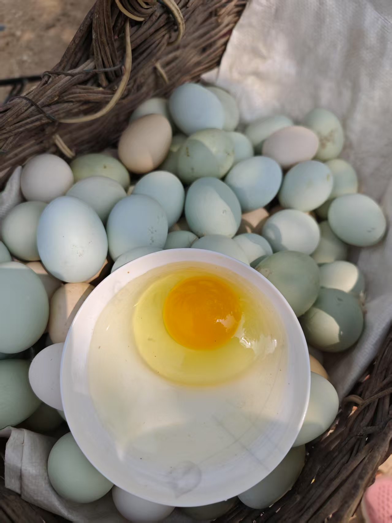 太行山高山正宗散养放养柴鸡蛋土鸡蛋30枚