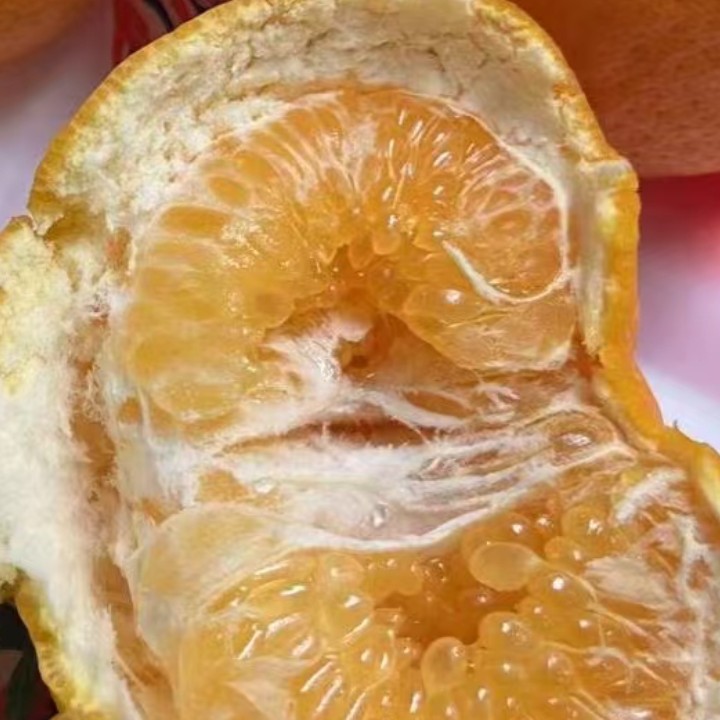 爆甜耙耙柑2斤云南省