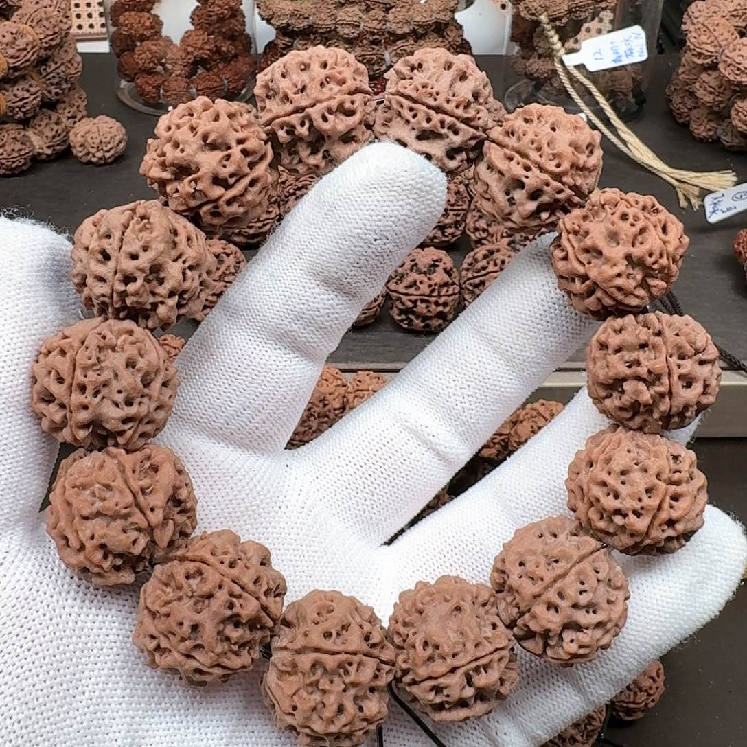 金刚菩提手串22大蜂窝