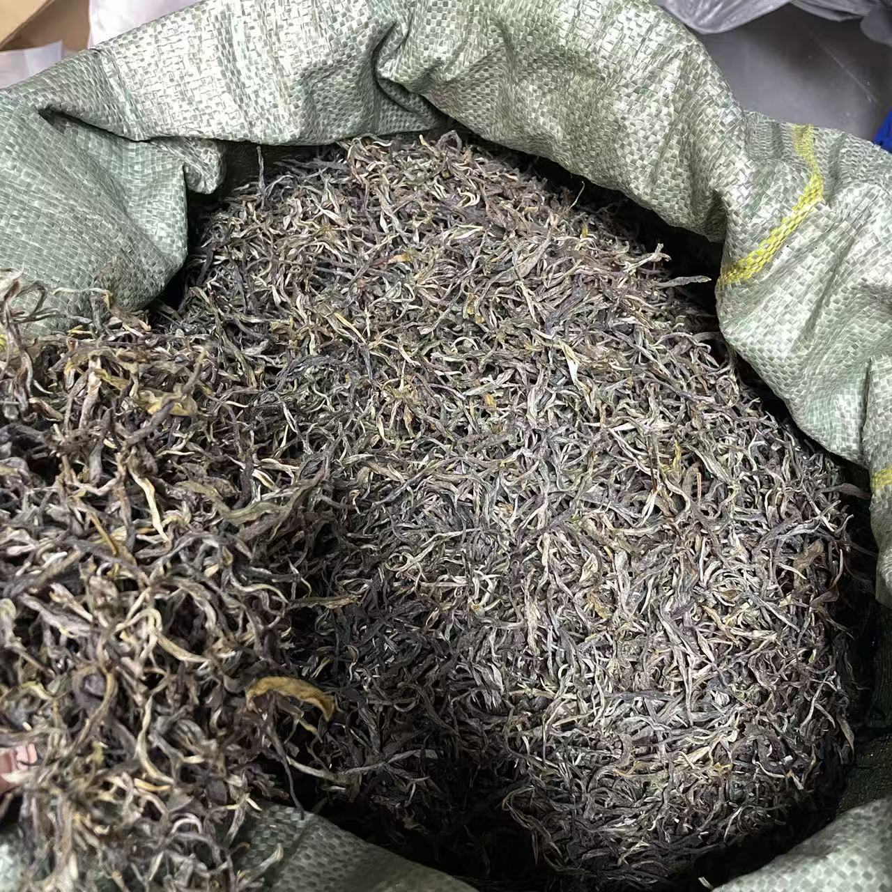 2025年曼兴龙古树秋茶普洱茶生茶1000g