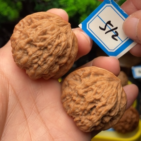 文玩核桃吊坠平谷凹底40