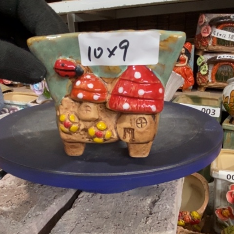 【闪购商品】         