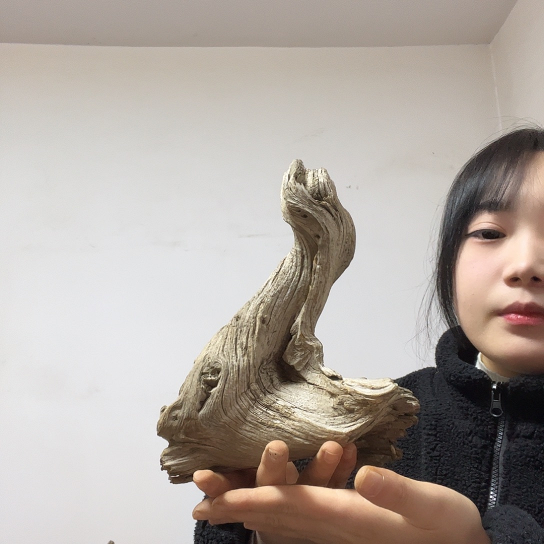 好***安柏木（崖柏）这个世界上最大限度地减少