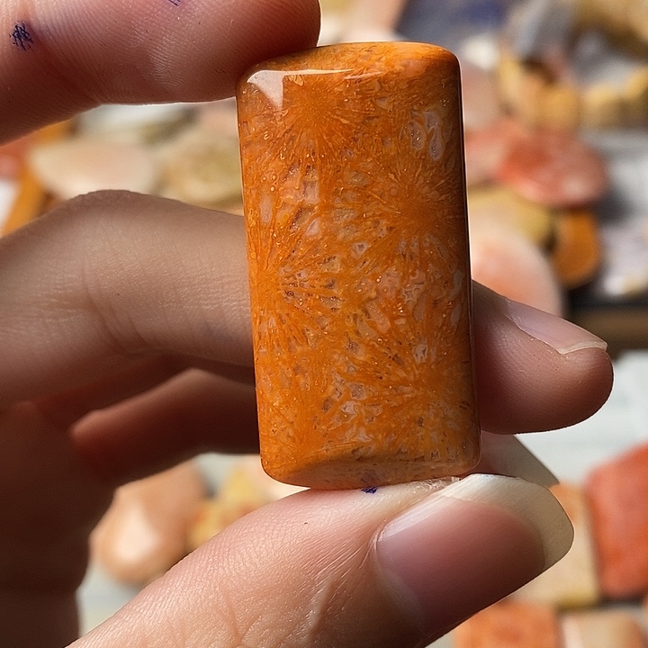 宝***碗硅化珊瑚未镶嵌颈饰