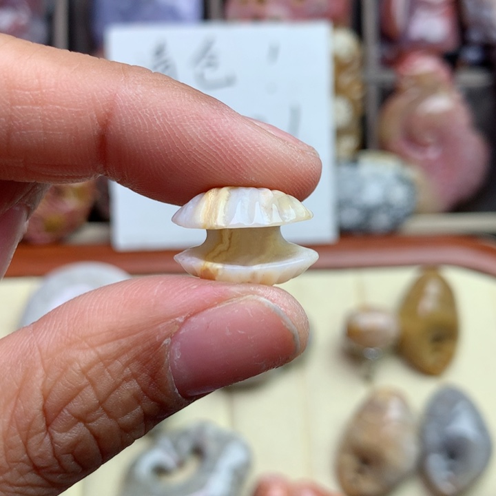 硅化珊瑚（珊瑚玉）颈饰未镶嵌