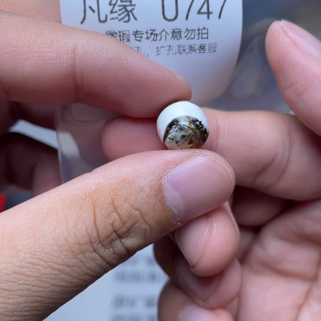 琥珀未镶嵌珠宝奇石c****➕