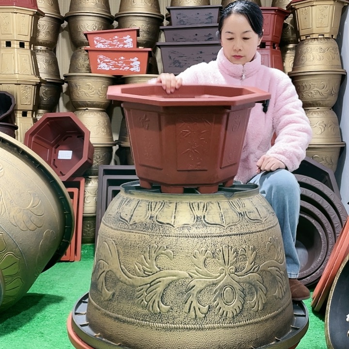 八角红色五零两个