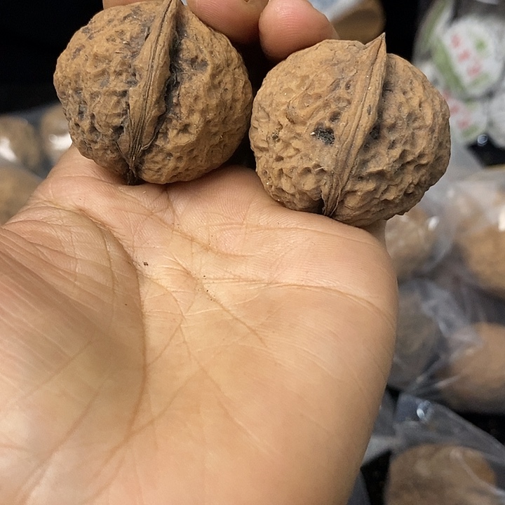 核桃云南铁核桃基地100