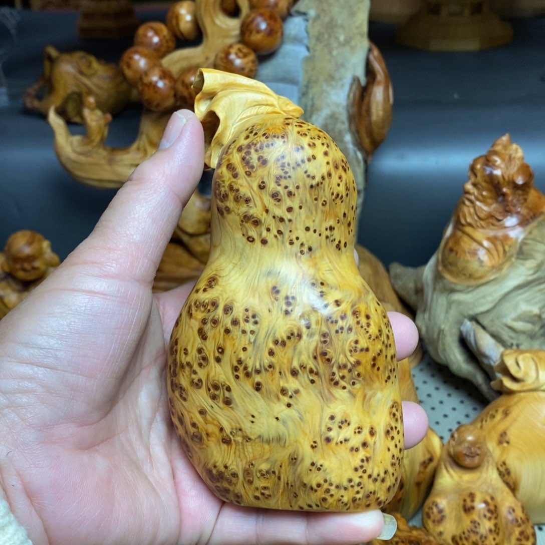 柏木（崖柏）太行山上