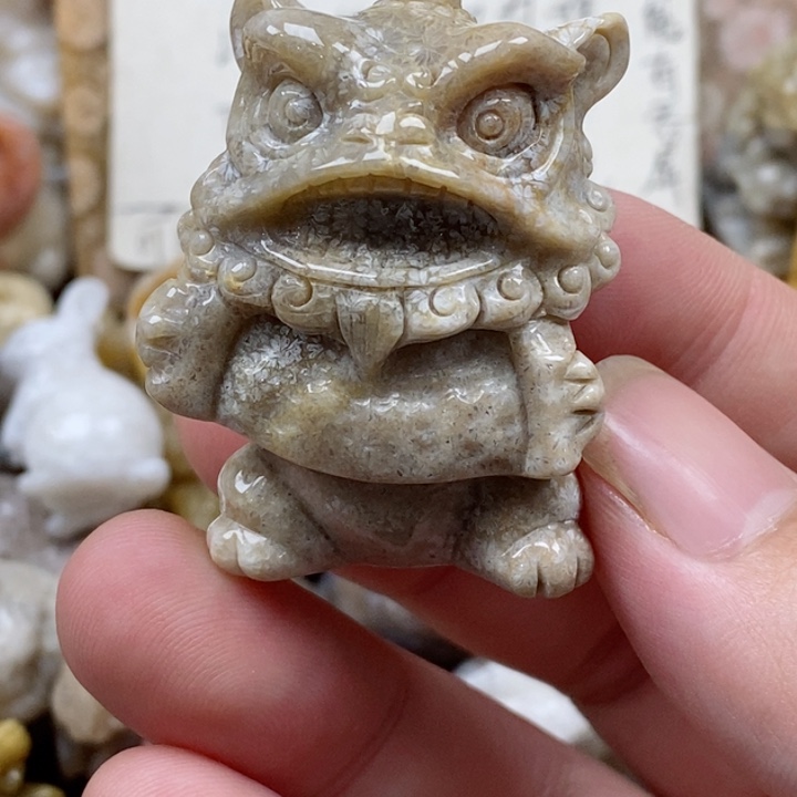 颈饰未镶嵌硅化珊瑚（珊瑚玉）