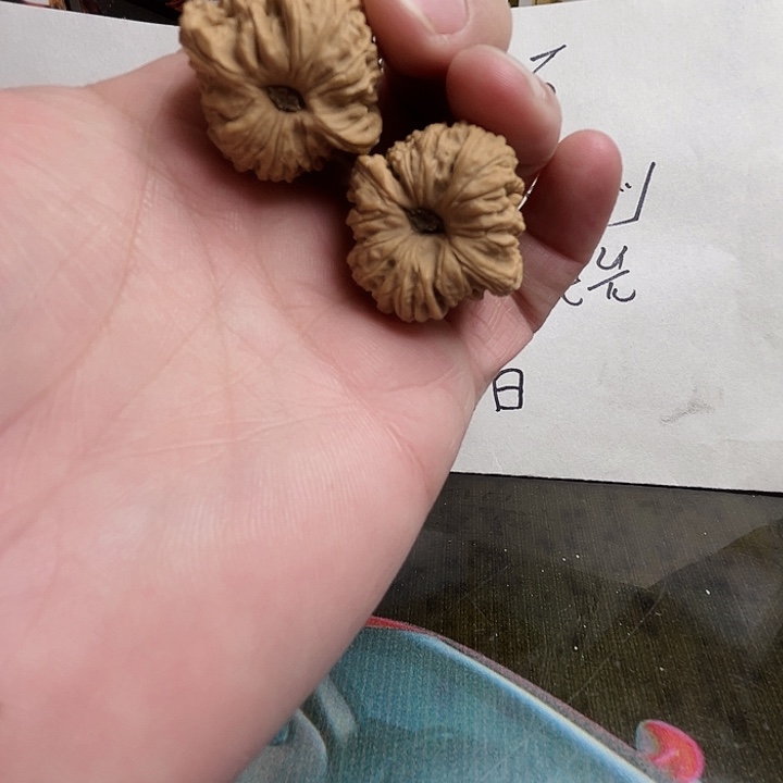 吊坠文玩核桃涿鹿