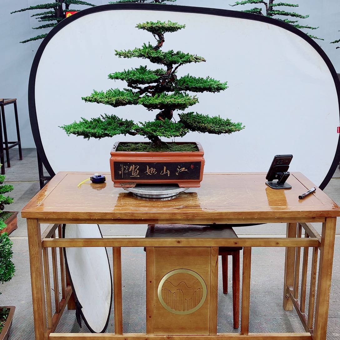 无花朵直播间一物一拍