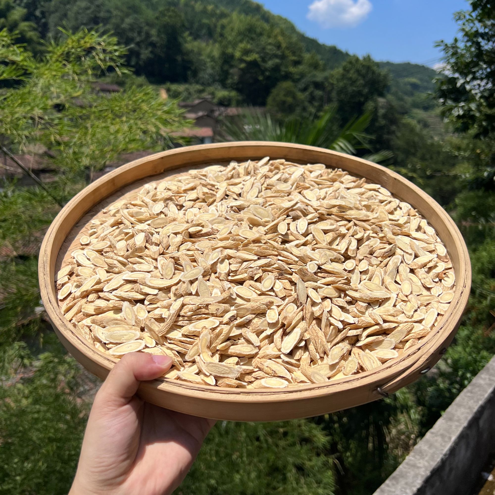 高山 农家日晒黄芪