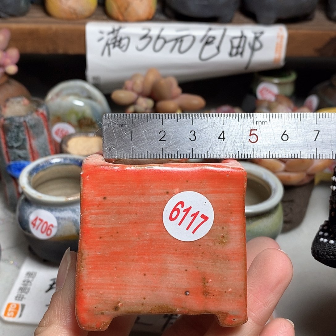 红陶拍5送一个小