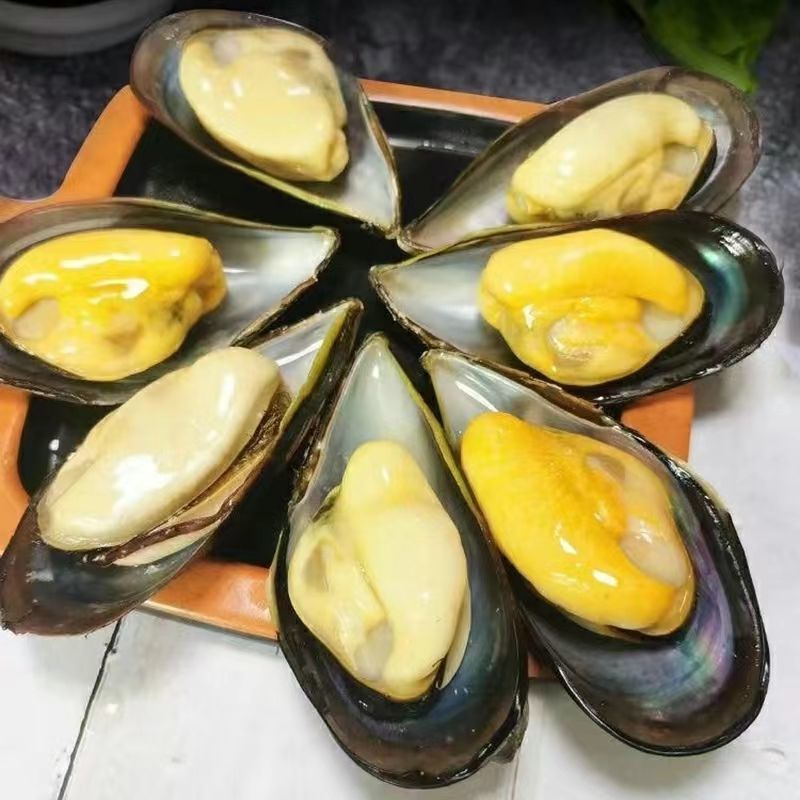 w日照精选特大海虹青口贝整箱6斤净重5斤淡菜贻贝包鲜包肥不包活