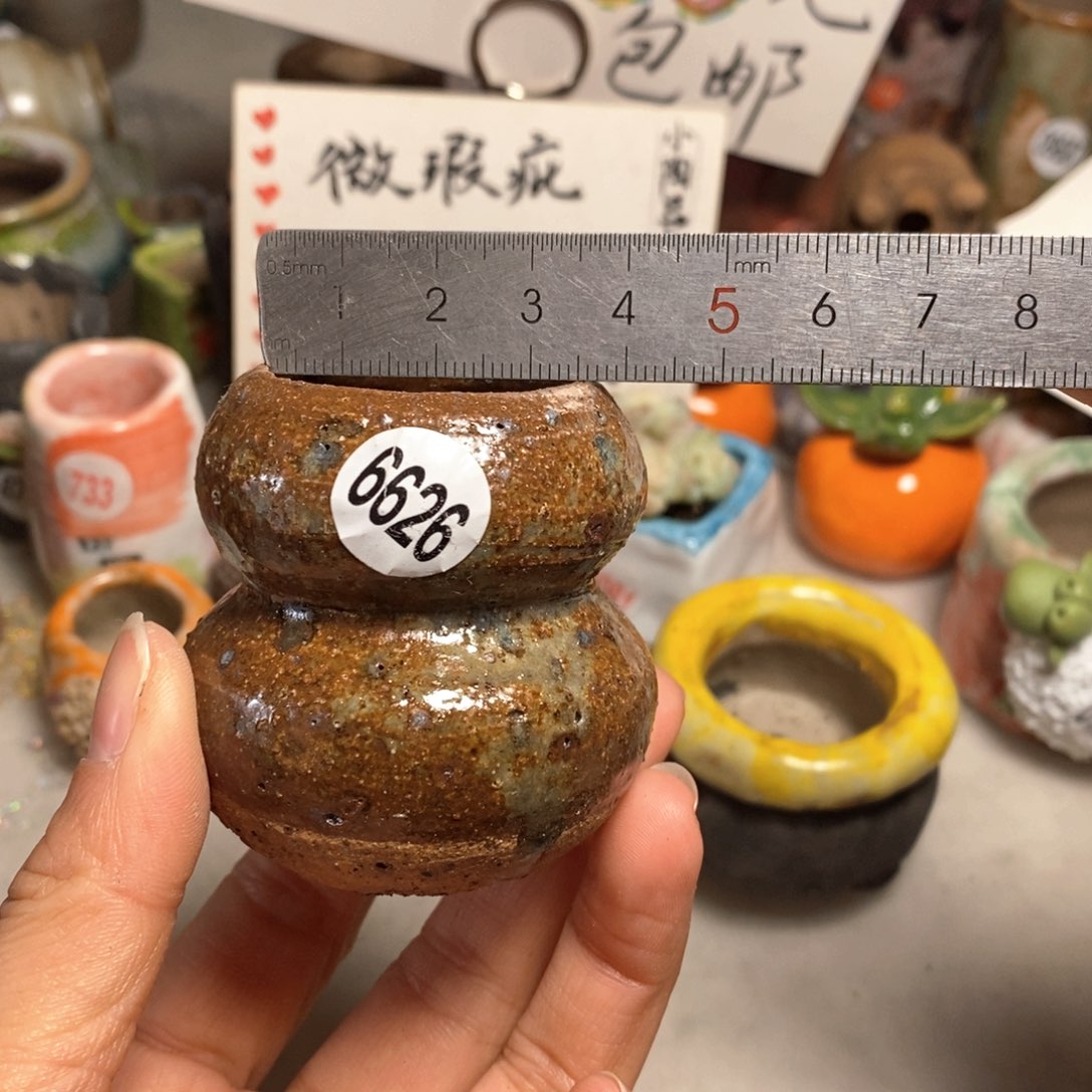 拍5送一个小礼物＇花盆