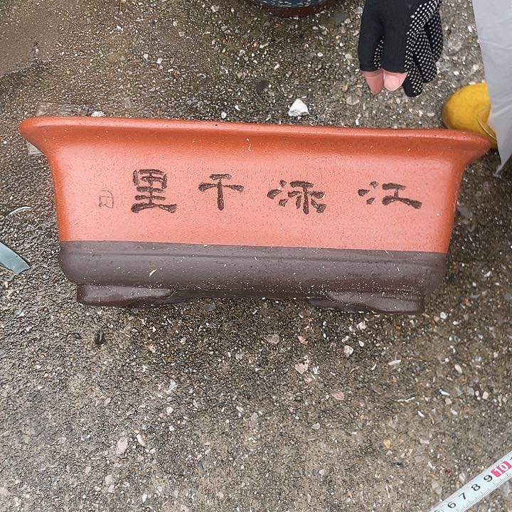 话话哦话哦花盆花盆花盆a396