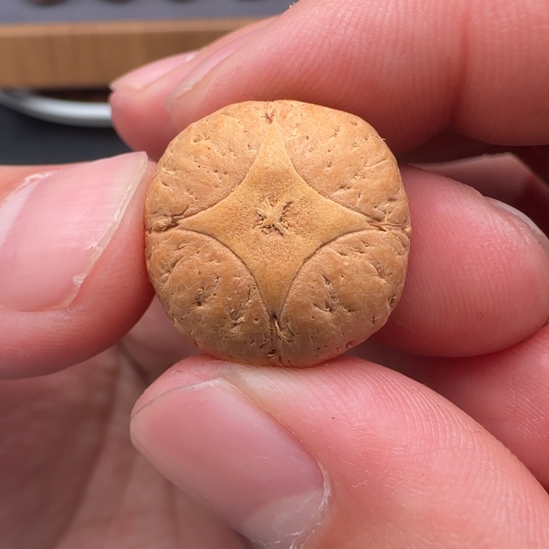 小***ᐜ麒麟眼菩提吊坠21➕精品麒麟