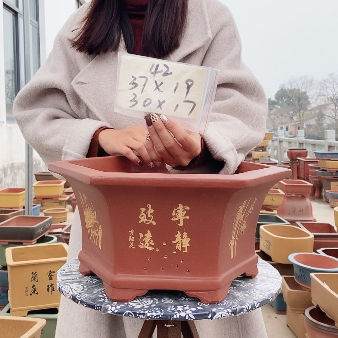 紫砂花盆紫砂花盆