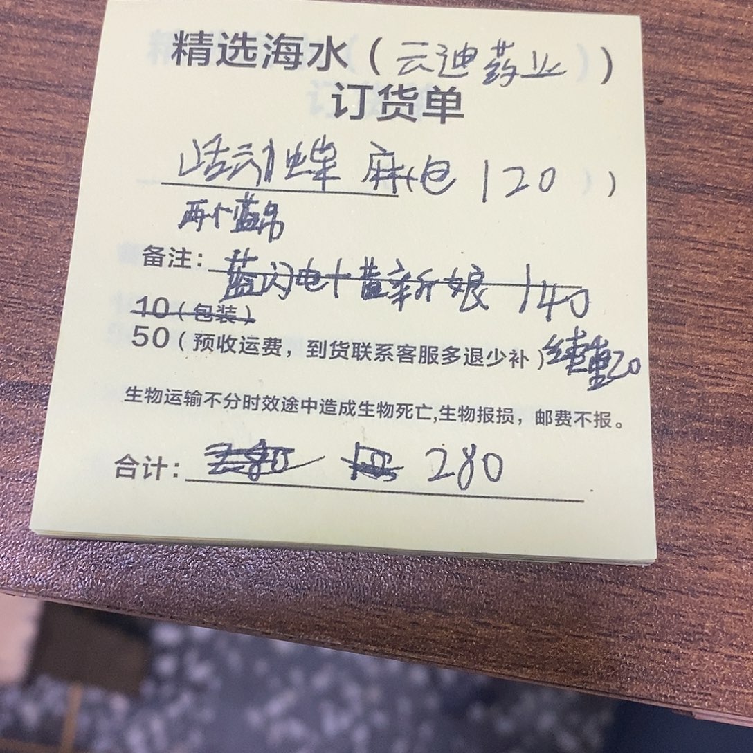 海水鱼麻包人字闪电黄新娘