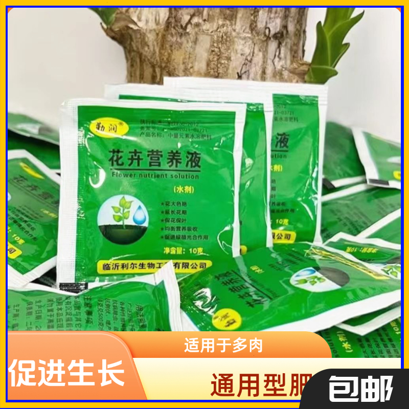 水培植物大叶金钻盆栽绿公主办公室内桌面绿萝净化空气吸甲醛水养