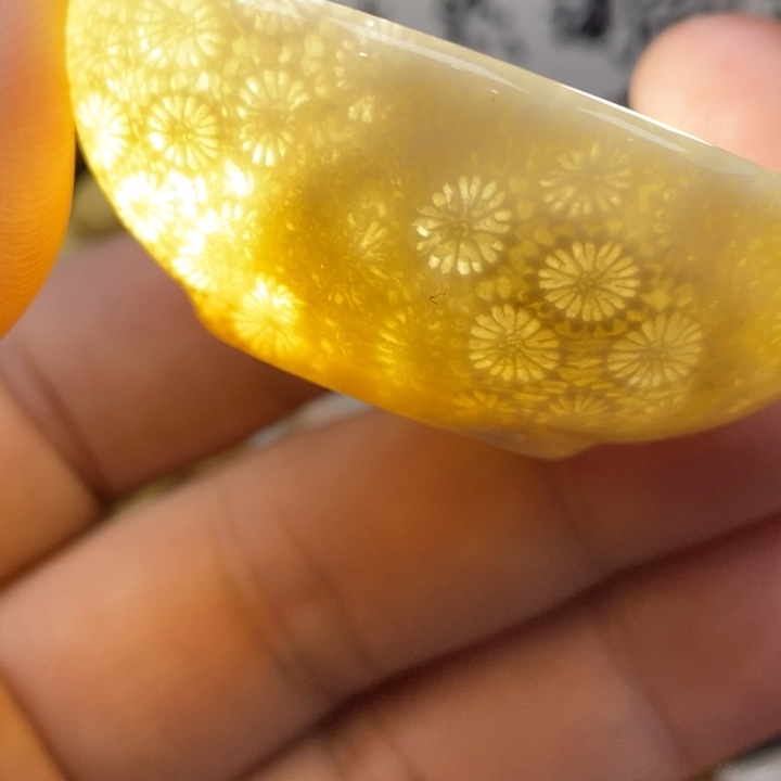 硅化珊瑚（珊瑚玉）未镶嵌颈饰