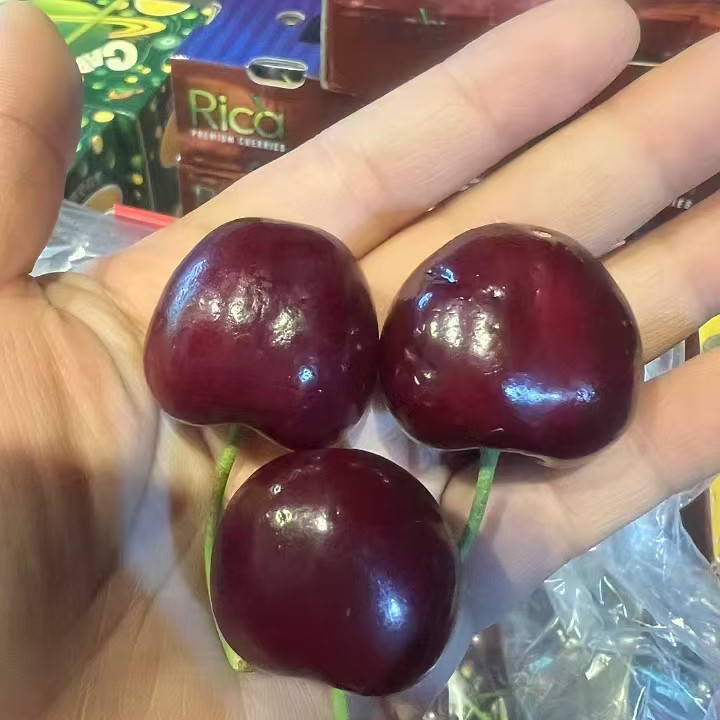 【新品尝鲜】智利车厘子海运2J车厘子约200g来自南半球的甜蜜馈赠内附果径卡桑提娜智利