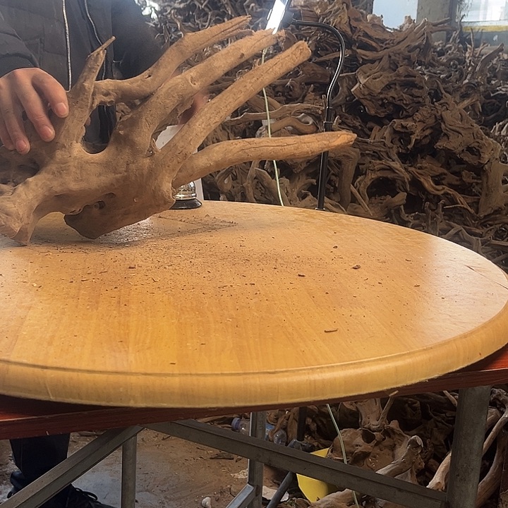 木551925 鱼缸造景摆件水库杜鹃根 188